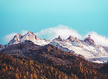 会受处罚吗？部分成都球迷赛后再现不当行为，投掷水瓶+看台斗殴